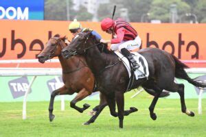 surround stakes|2024 Surround Stakes .